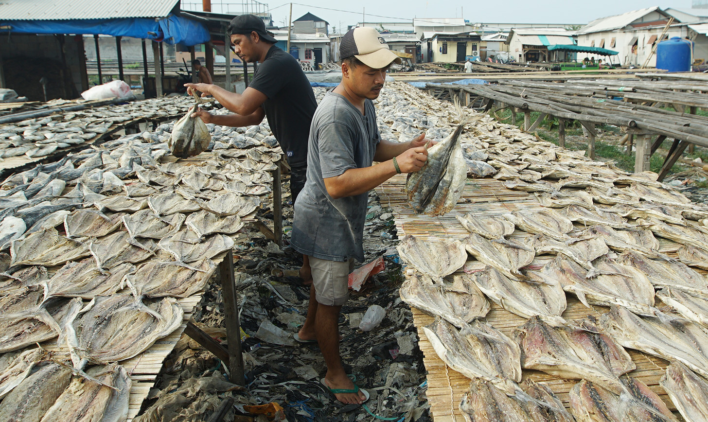 Pekerja menjemur ikan asin di kawasan Muara Angke, Jakarta, Selasa (23/4/2024). (BeritaNasional.com/Oke Atmaja)