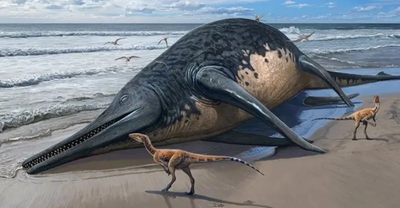 Ilustrasi hewan laut raksasa (Foto/BBC)