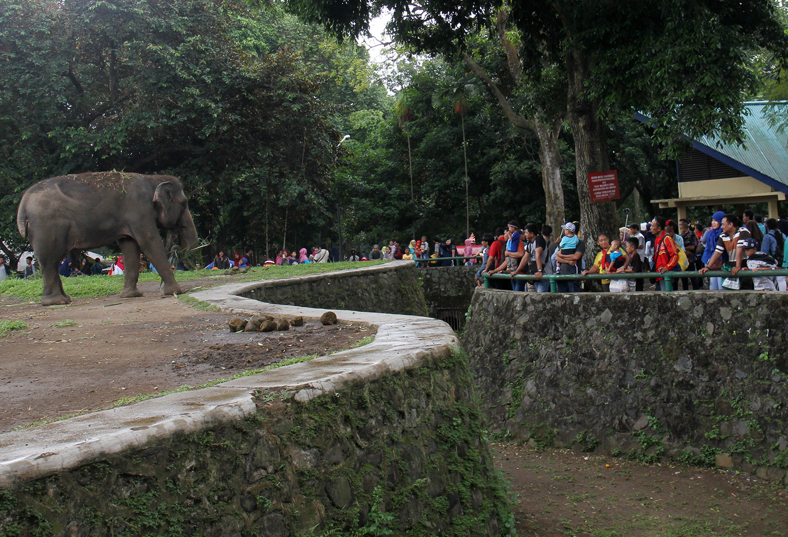 Pengunjung melihat satwa saat libur lebaran di pengunjung memadati Taman Margasatwa Ragunan. (BeritaNasional/Oke Atmaja)