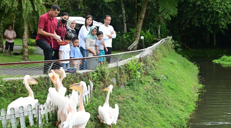 Momen Jokowi ajak cucu wisata satwa. (Foto/SEKRETARIAT PRESIDEN)