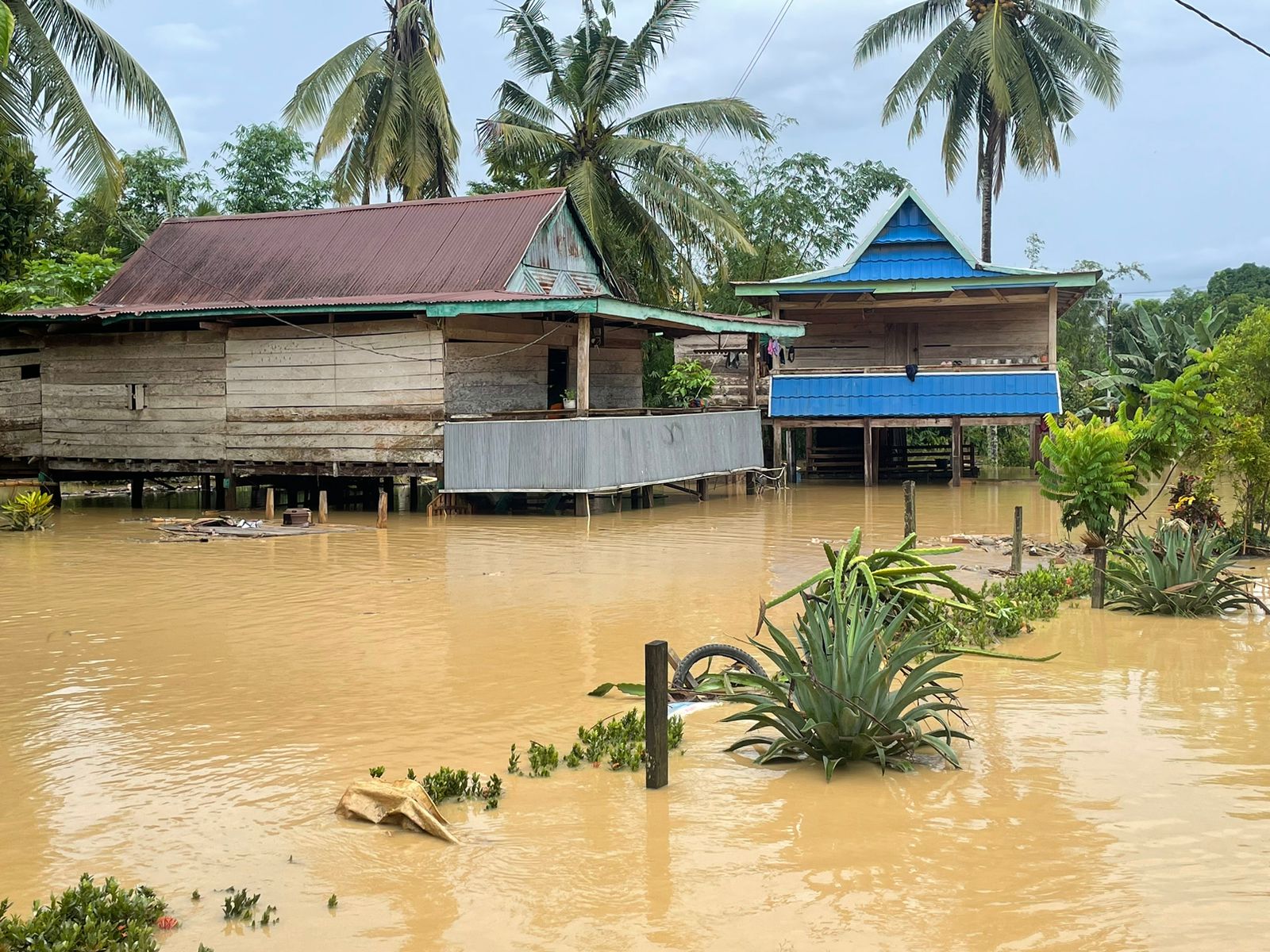 Banjir Wajo. (Foto/BNPB)