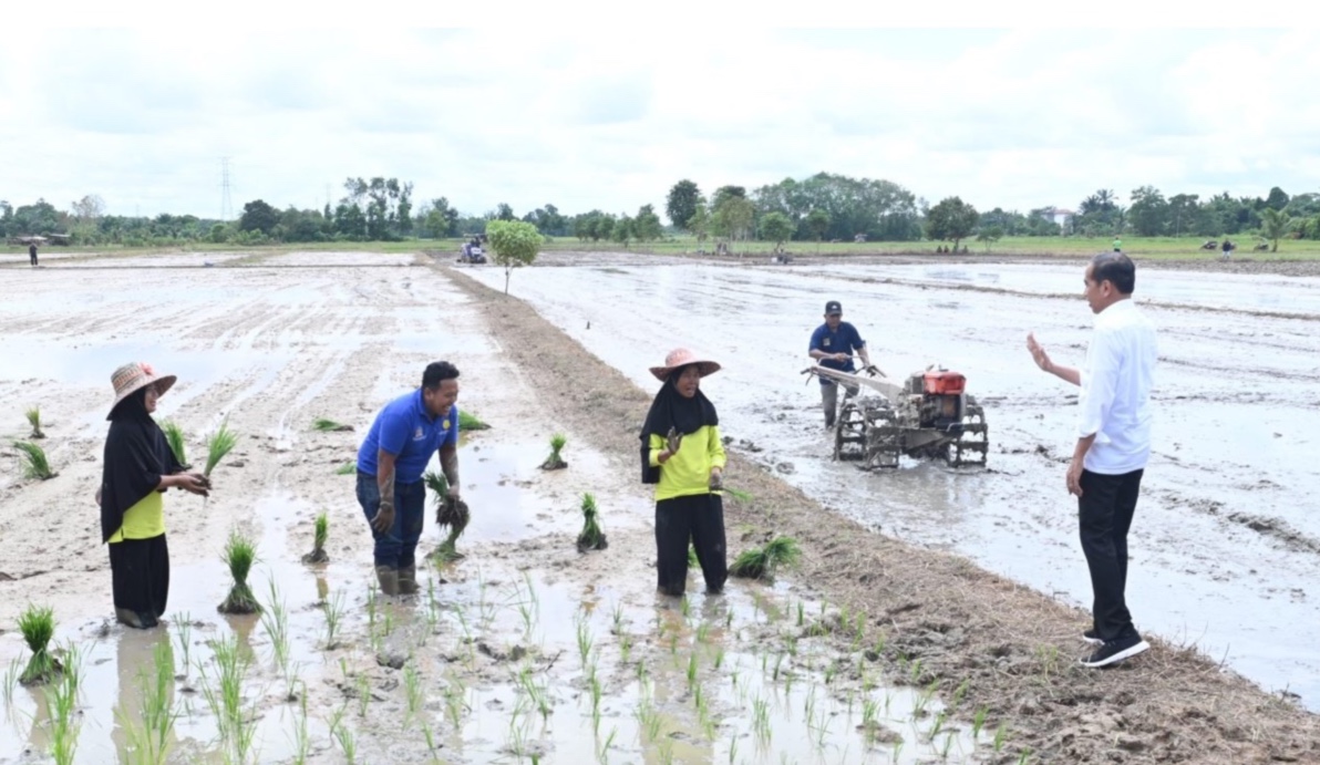 Presiden Jokowi meninjau langsung pembangunan pompa untuk pengairan sawah dan pertanian di Desa Bapeang, Kabupaten Kotawaringin Timur. (Foto/BPMI).