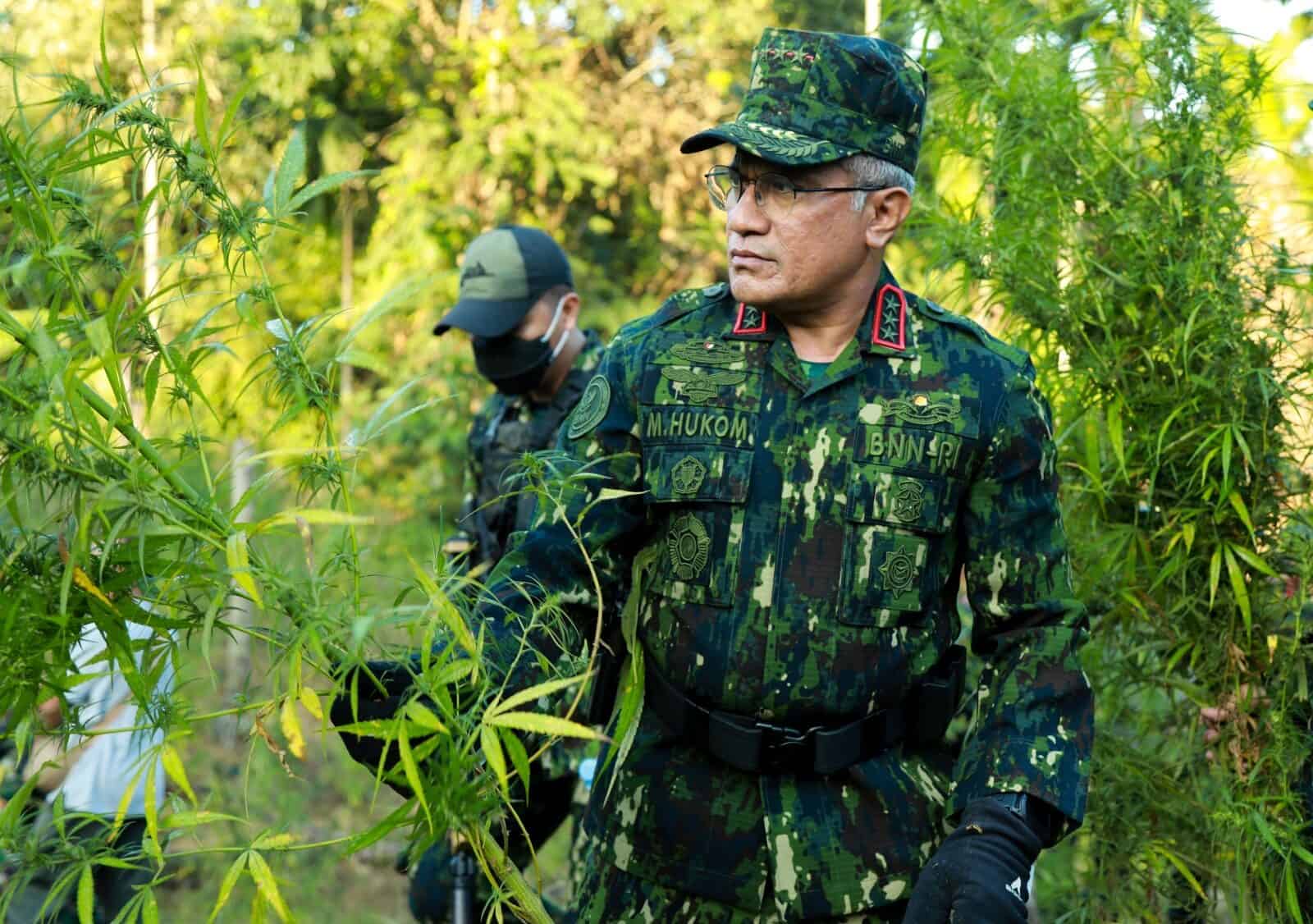 Kepala BNN RI, Marthinus Hukom saat memimpin pemusnahan lahan ganja di wilayah Aceh. (Foto/BNN)