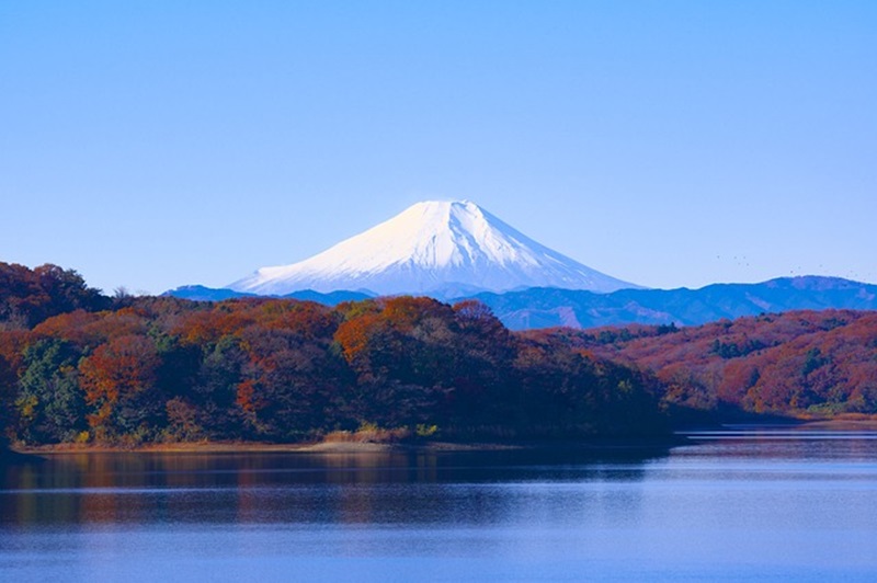 Suasana Gunung Fuji yang syahdu (Foto/Pixabay)