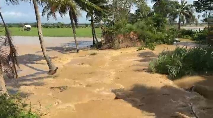 Wilayah pemukiman warga Kecamatan Pitumpanua, Kabupaten Wajo, Sulawesi Selatan terendam banjir pada Rabu. (Foto/BPBD Kabupaten Wajo).