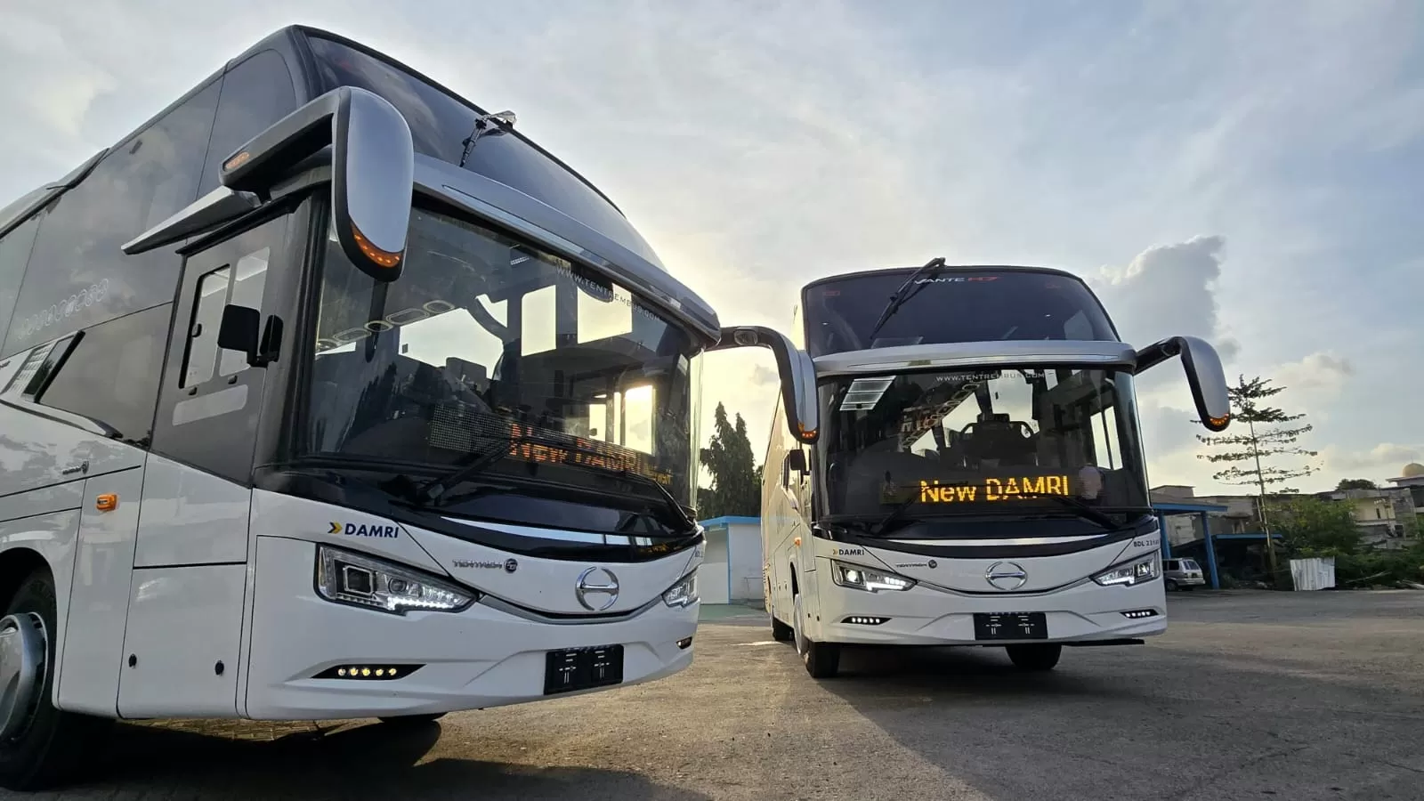 Bus DAMRI. (Foto/DAMRI)