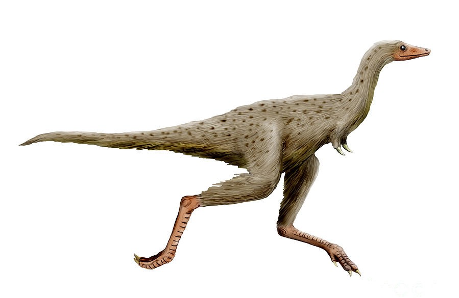 Dinosaurus Linhenykus. (BeritaNasional/dinosaurpictures)