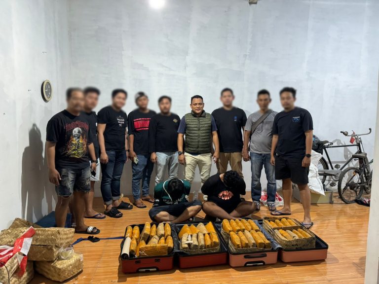 Polisi menangkap pengedar ganja beserta barang buktinya. (Foto/Humas Polri)