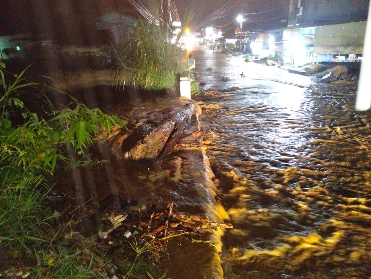 8 Kecamatan Terdampak Banjir di Kabupaten Aceh Tenggara. (Foto/BNPB).