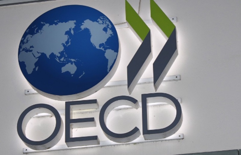 Indonesia dinilai lebih cocok bergabung dengan OECD (Foto/Industri All)