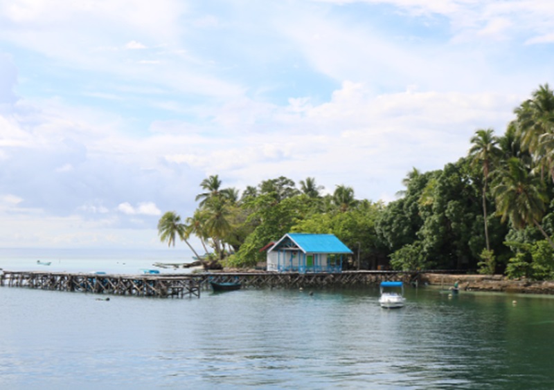 Ilustrasi Raja Ampat ditargetkan jadi lumbung pangan (Foto/Pixabay)