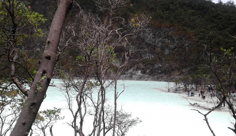 Pemandangan Kawah Putih Ciwidey (Beritanasional/Meta)