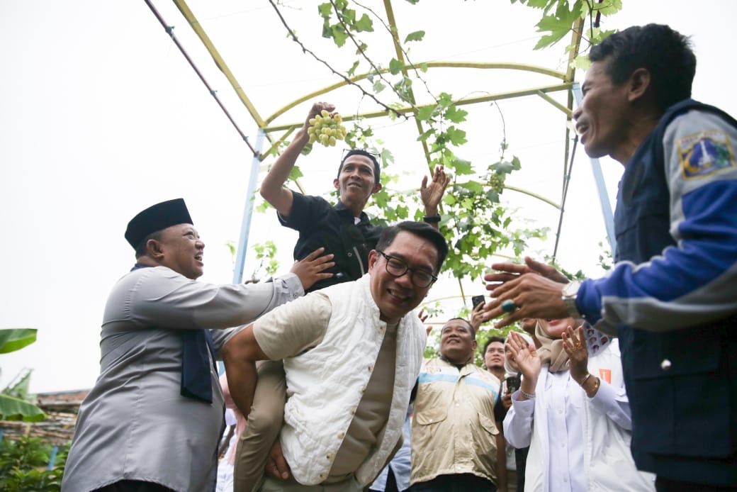 Ridwan Kamil (RK) berkunjung ke Agro Eduwisata GSG 07 Farm di Kembangan. (Foto/Tim RK-Suswono).