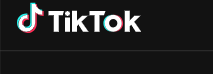 Logo TikTok. (Foto/TikTok)