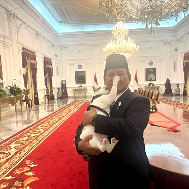 Momen lucu Presiden Prabowo dan Kucingnya Bobby. (Foto/Instagram Prabowo)