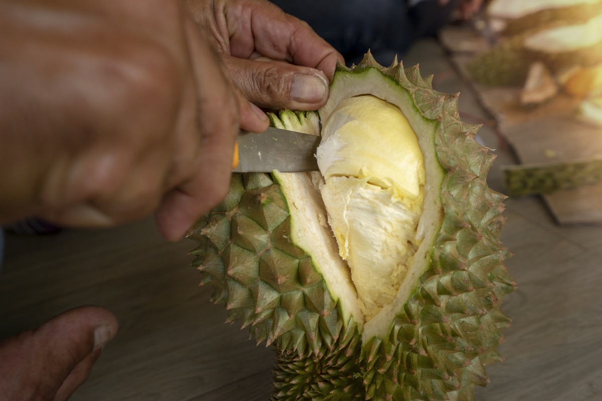 Ilustrasi durian tupai king. (Foto/freepik).