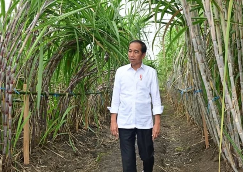 Jokowi (Foto/Instagram Jokowi)