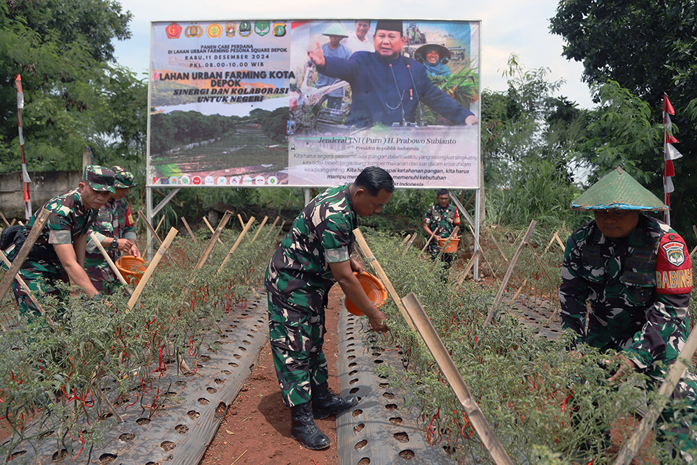 Kodim 0508/Depok bersama warga memanen cabai di lahan Urban Farming Pesona Square Depok. (BeritaNasional/Elvis Sendouw)