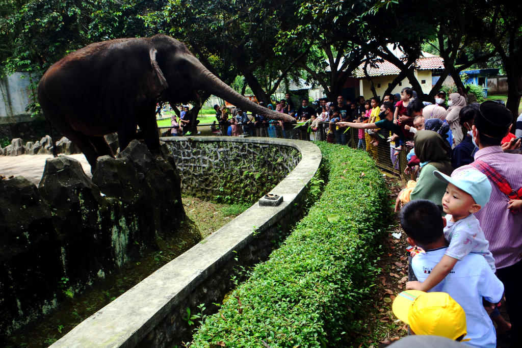 Wisatawan lokal mengisi waktu libur nataru ke Taman Margasatwa Ragunan. (BeritaNasional/Elvis Sendouw)