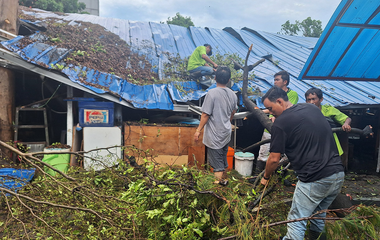 Petugas dibantu pedagang mengevakuasi sebatang pohon yang tumbang di Pasar Senin, Jakarta, Senin (02/12/2024). (BeritaNasional.com/Oke Atmaja)