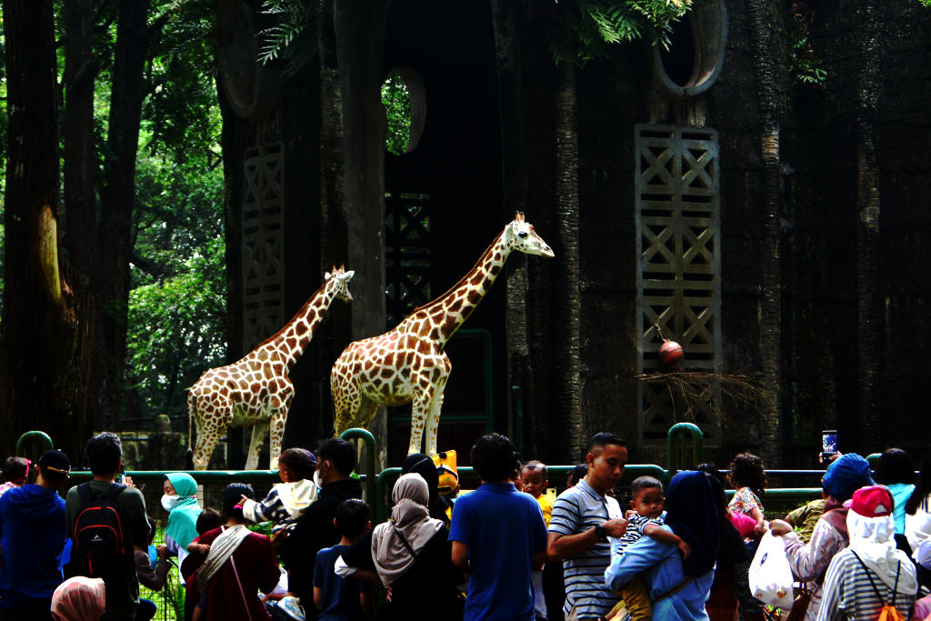 Para wisatawan mengunjungi Taman Margasatwa Ragunan (TMR). (BeritaNasional/Elvis)