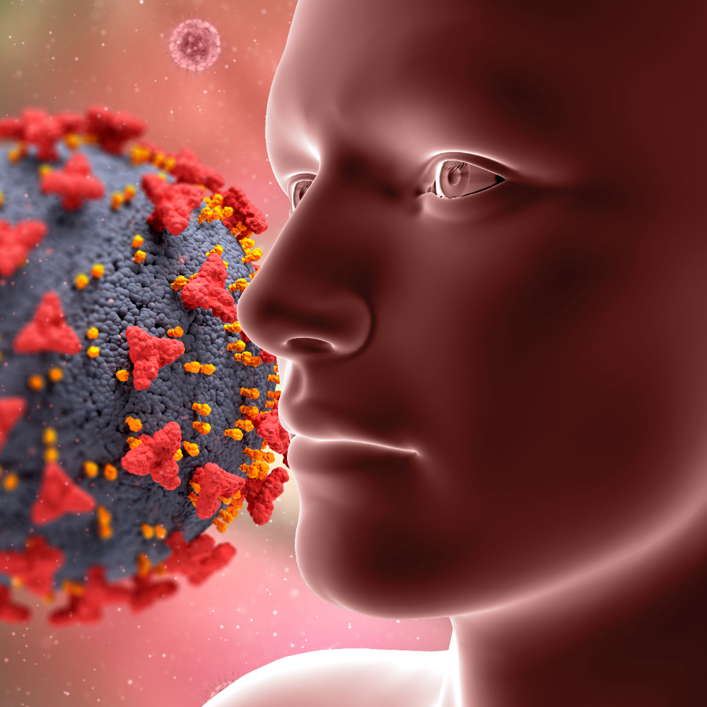 Ilustrasi Human Metapneumovirus. (Foto/Freepik)