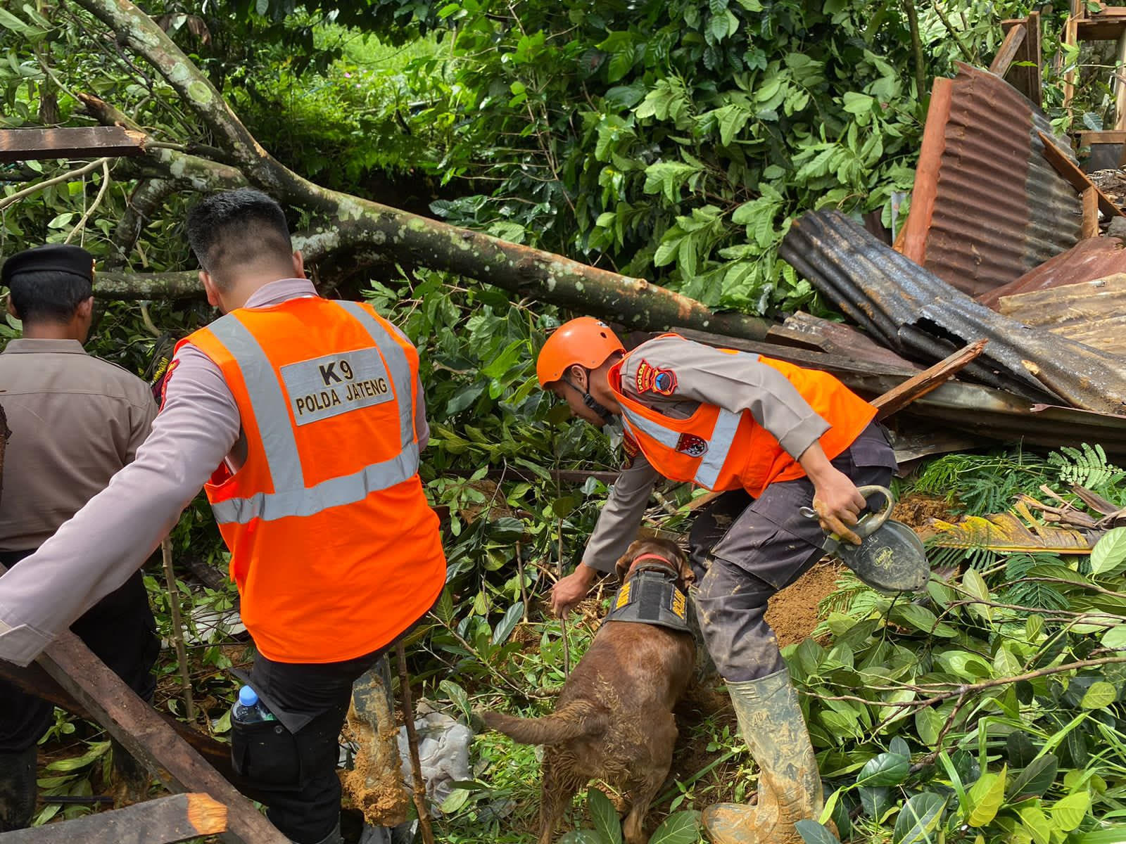 Brimob Polda Jateng mengevakuasi korban tanah longsor. (Foto/Istimewa)