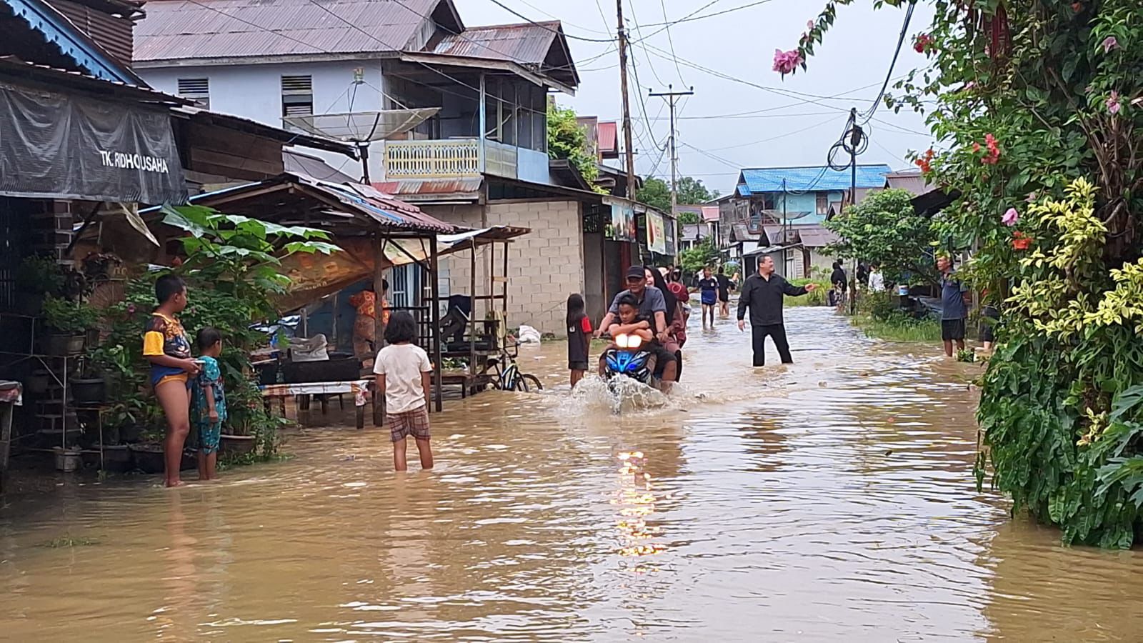 Banjir menggenangi beberapa Kecamatan di Kabupaten Sanggau, Kalimantan Barat.  (BeritaNasional/BNPD Sanggau)