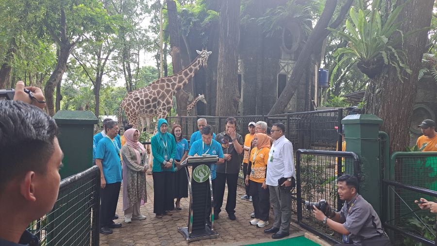 Pj Teguh Beri Nama Anak Jerapah Ragunan Rajaka. (Foto/Doc. Pemprov DKI)