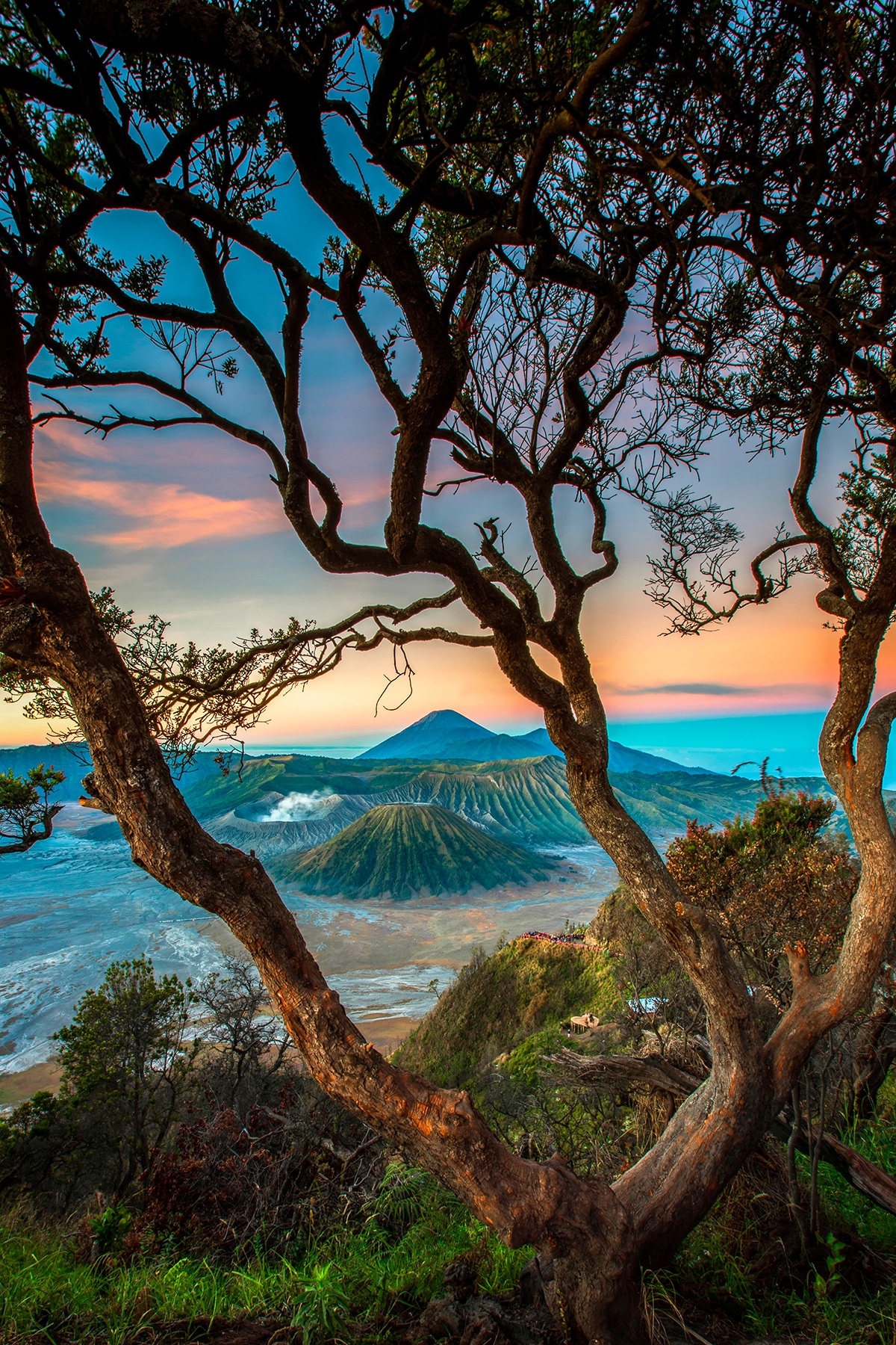 Taman Nasional Bromo Tengger Semeru. (Foto/Wonderful Indonesia)