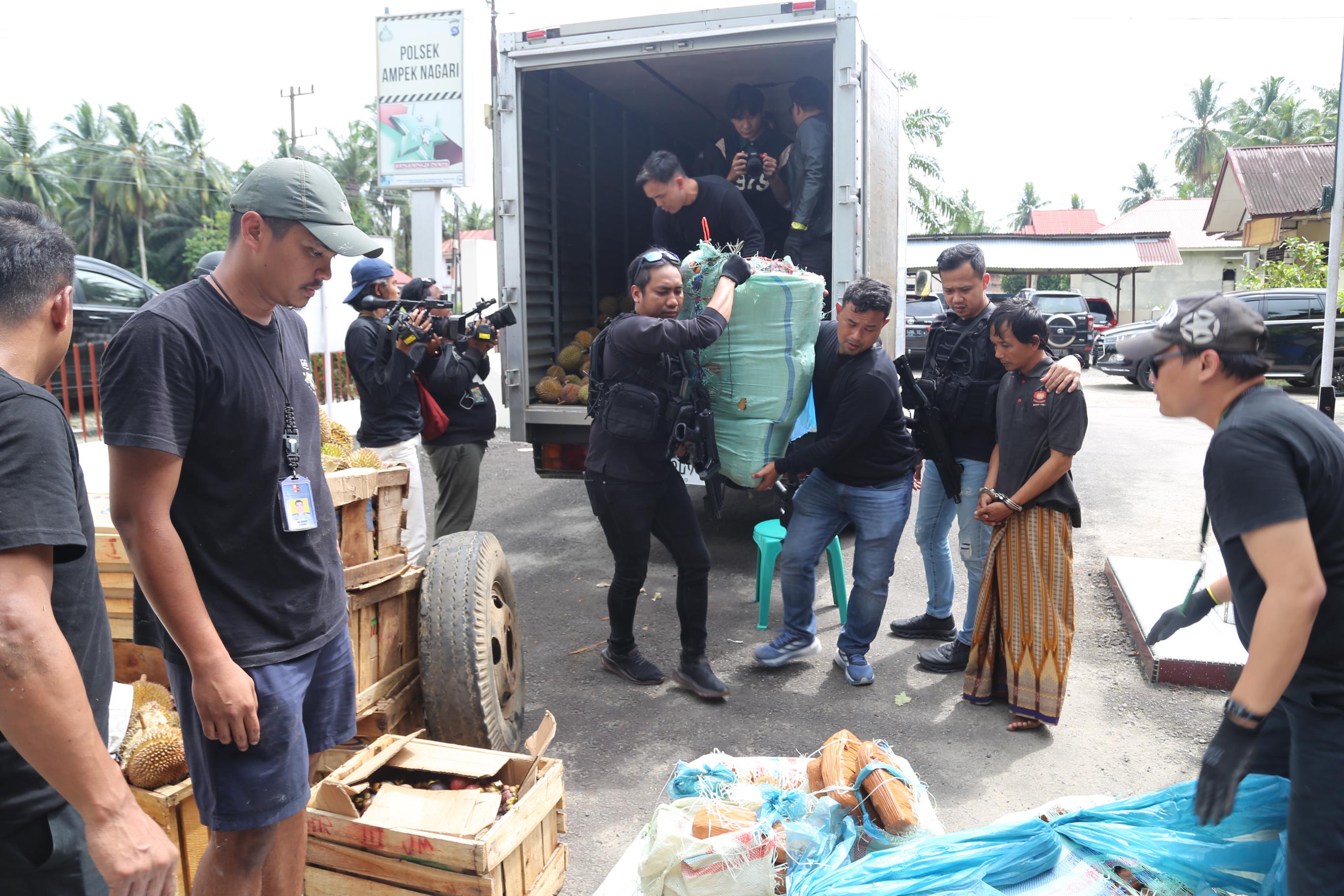 Bareskrim Gagalkan Penyelundupan 74 Kg Ganja Pakai Truk Buah ke Jakarta. (Foto/Istimewa).