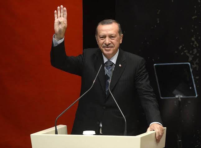 Presiden Turki Recep Tayyip Erdogan (BeritaNasional/pixabay)