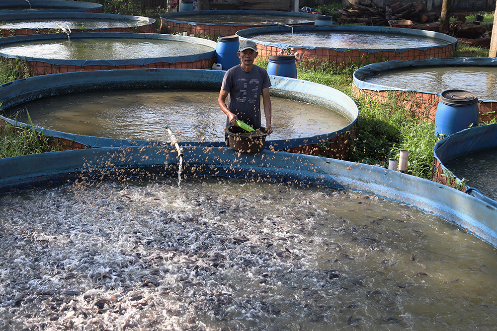 Budidaya ikan dengan sistem Bioflok. (BeritaNasional/Elvis Sendouw)