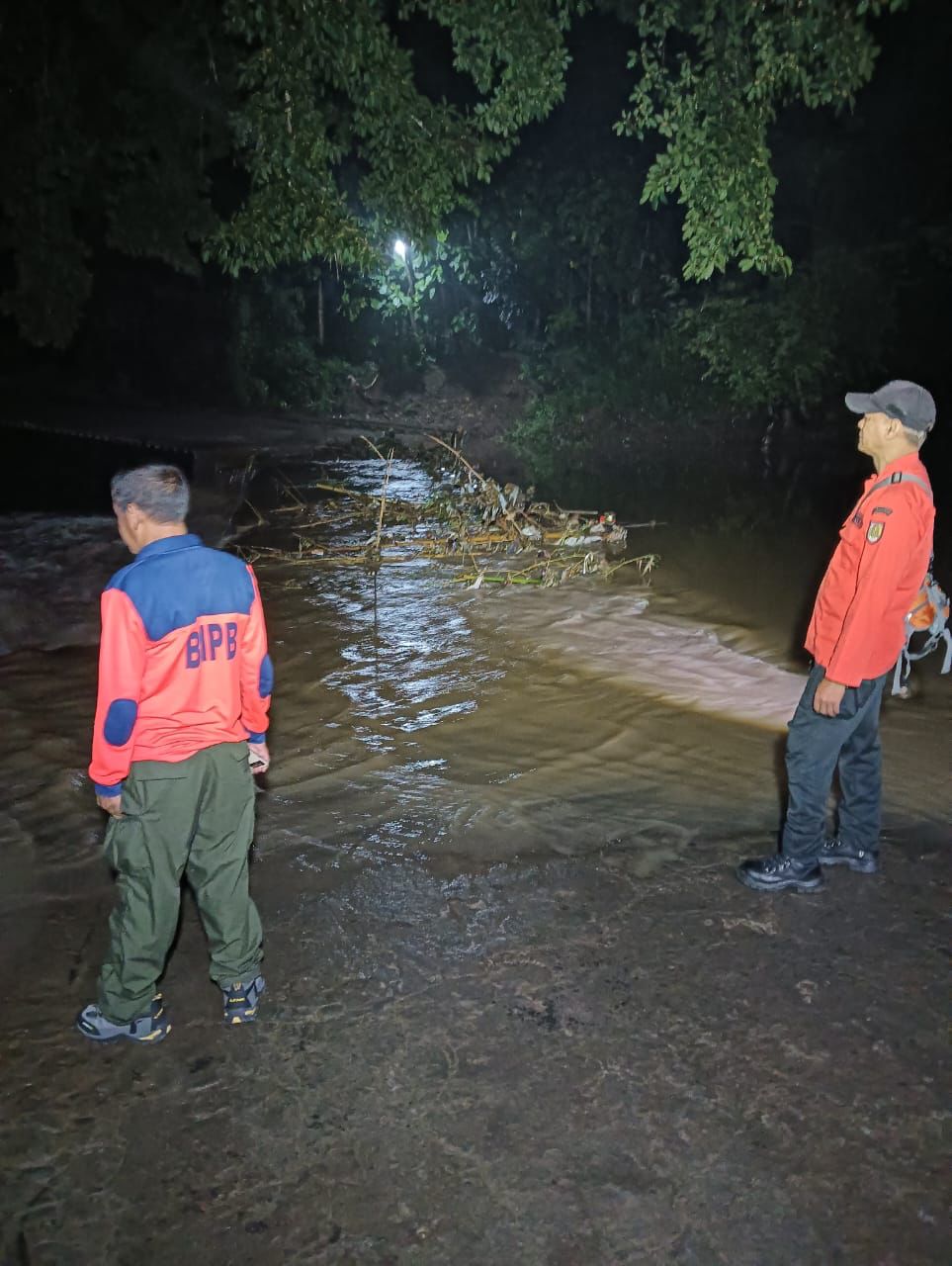 Banjir angin kencang dan pohon tumbang di Boyolali (BeritaNasional/BNPB)