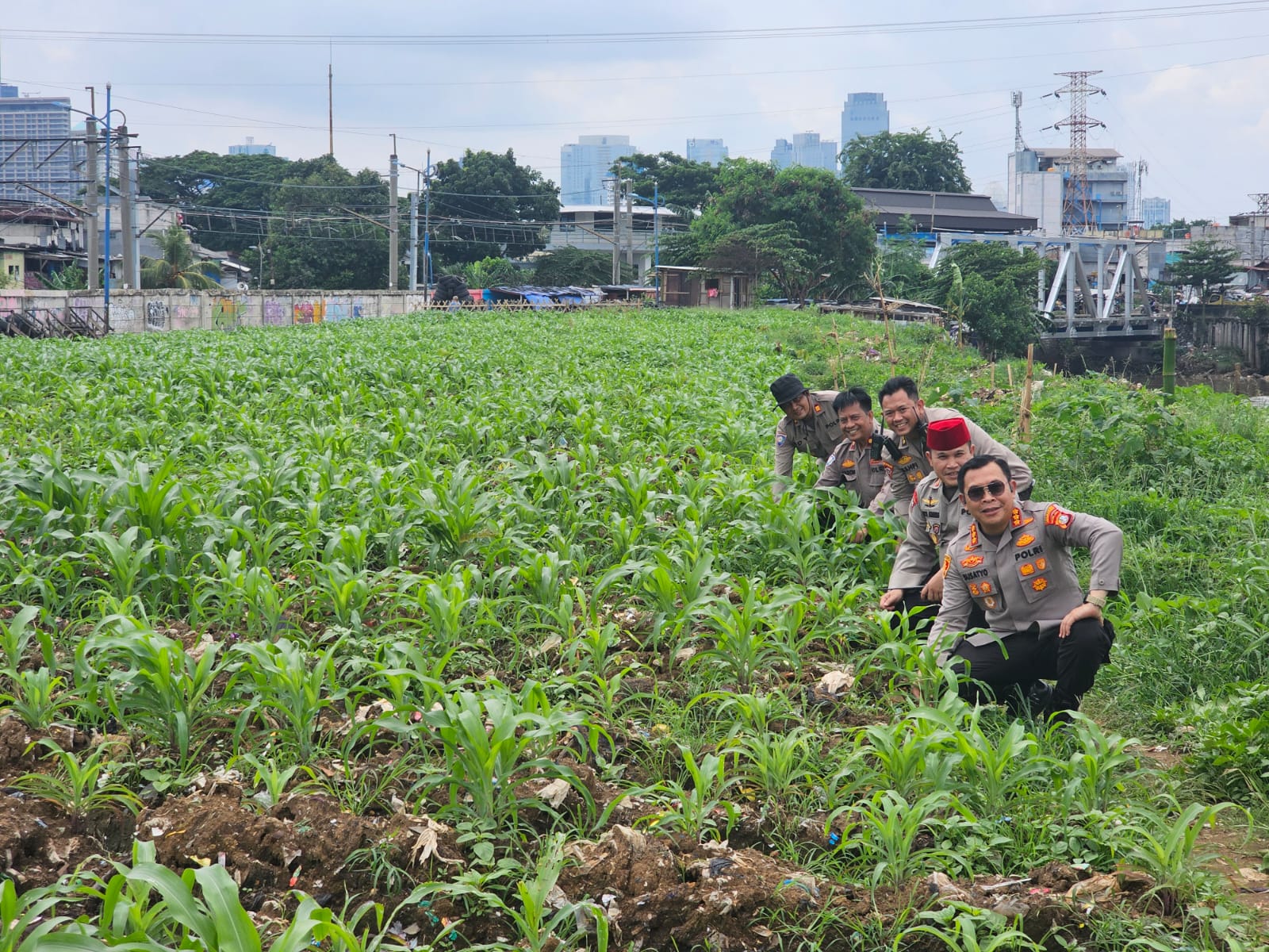 Anggota Polri memantau ladang jagung yang ditanam di tengah kota Jakarta. (Foto/Istimewa)