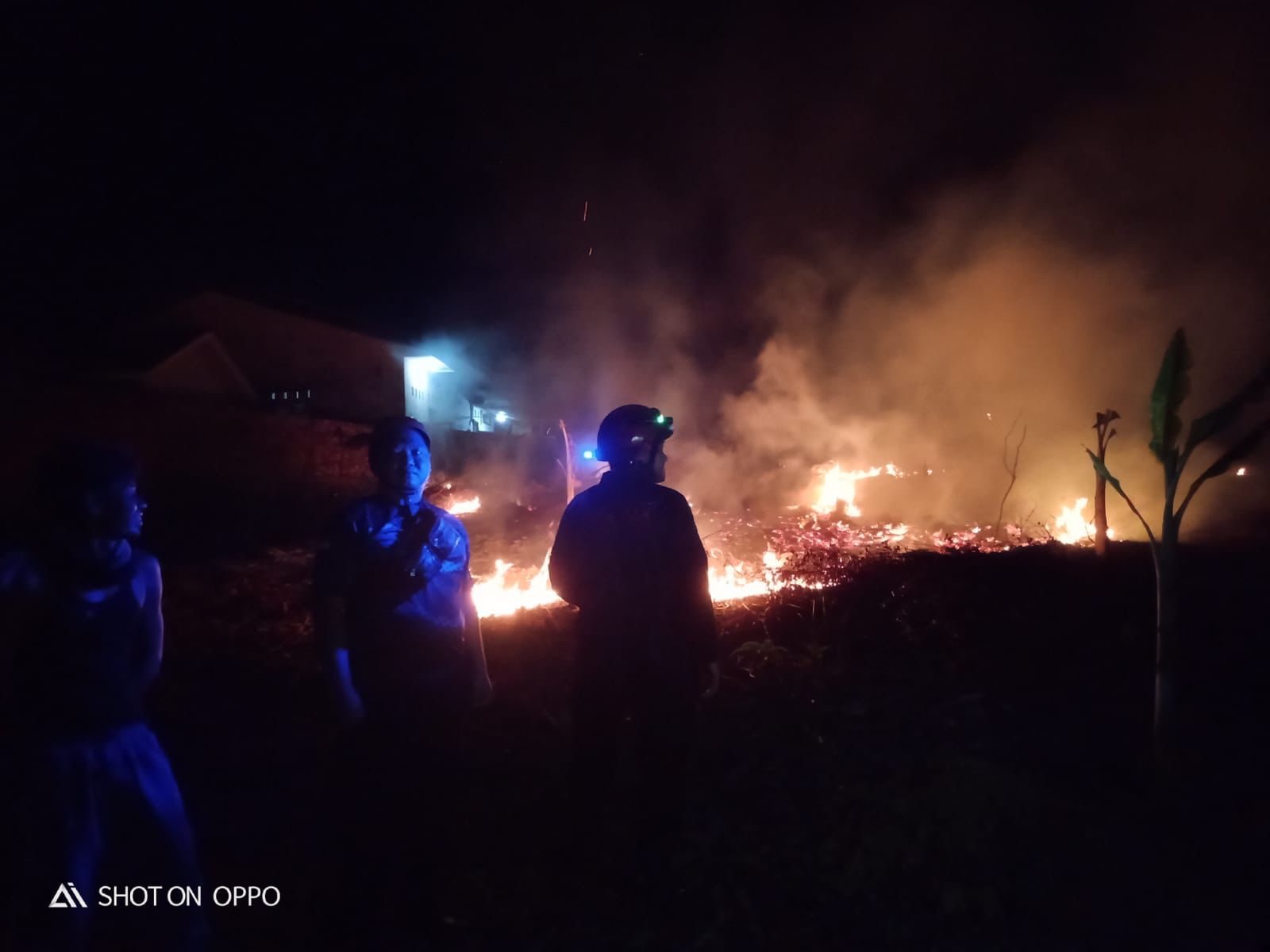 Petugas gabungan berusaha memadamkan api di Kabupaten Bintan Kepulauan Riau, Senin (17/2) (BeritaNasional/BNPB)