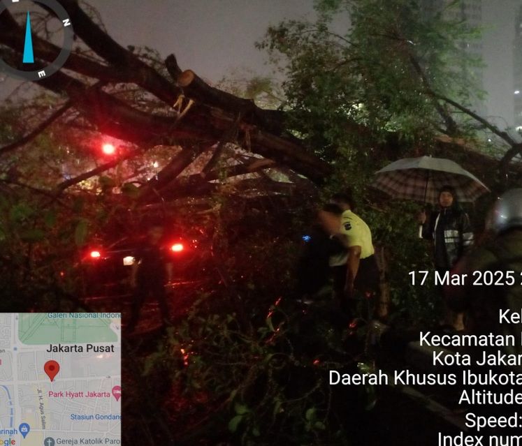 Pohon tumbang di Jakarta. (Foto/TMC Polda Metro).