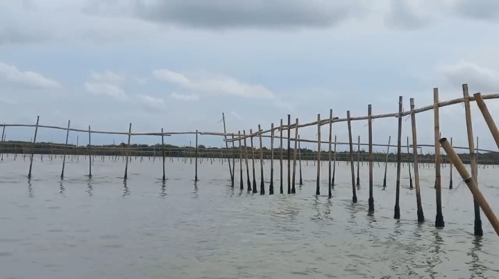 Pagar laut pesisir Pantai Utara Kabupaten Tangerang. (Foto/Doc. KKP)