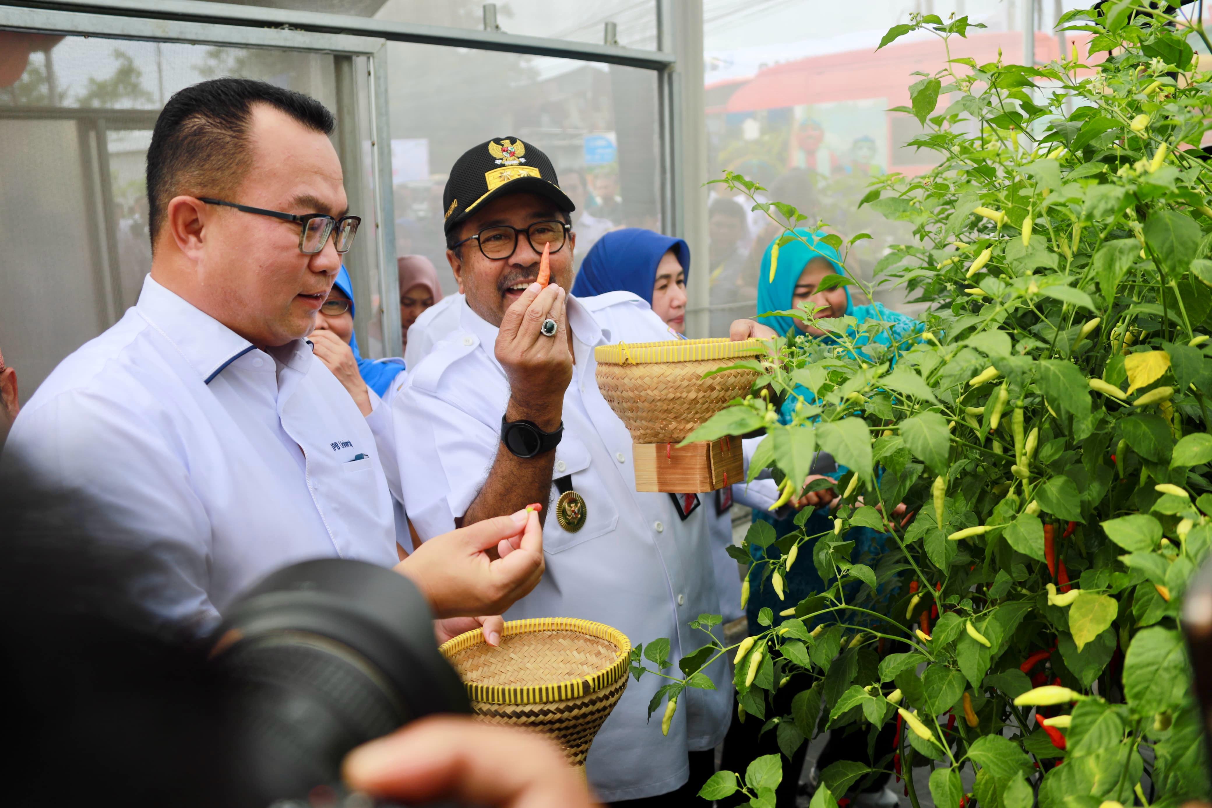 Wakil Gubernur DKI Jakarta pimpin panen raya serentak di Pulo Gadung. (Foto/Diskominfotik DKI Jakarta).