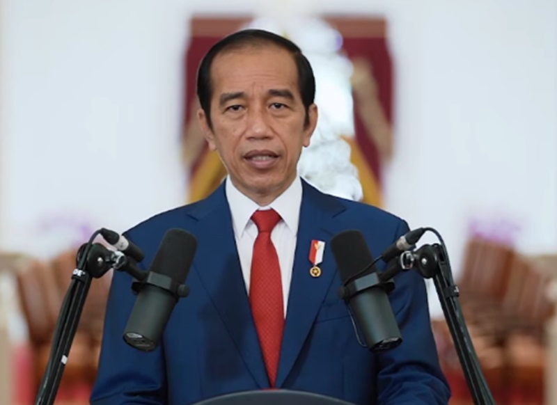 Jokowi ingin bentuk partai  (Foto/Setkab)