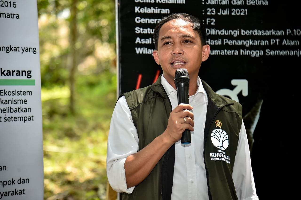 Menteri Kehutanan, Raja Juli Antoni. (Foto/istimewa).