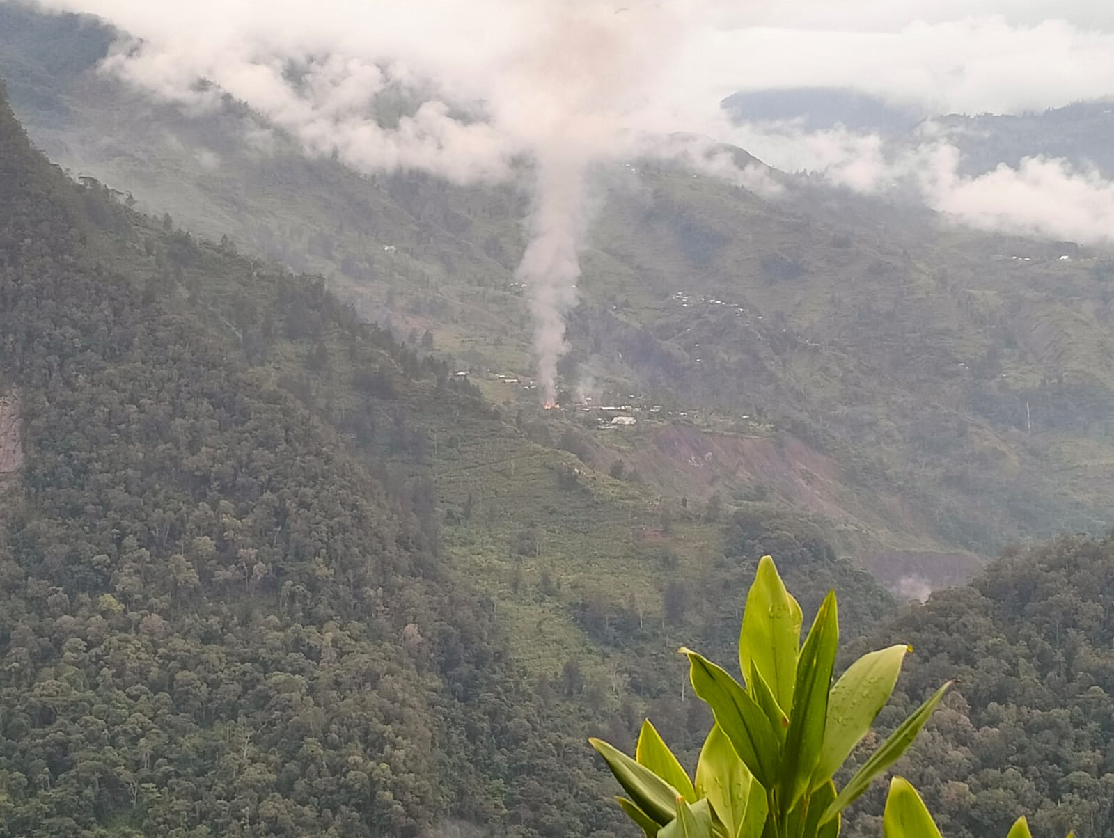 OPM Dilaporkan Bunuh Guru dan Tenaga Kesehatan Bakar Sekolah dan Rumah di Yahukimo Papua. (Foto/istimewa).