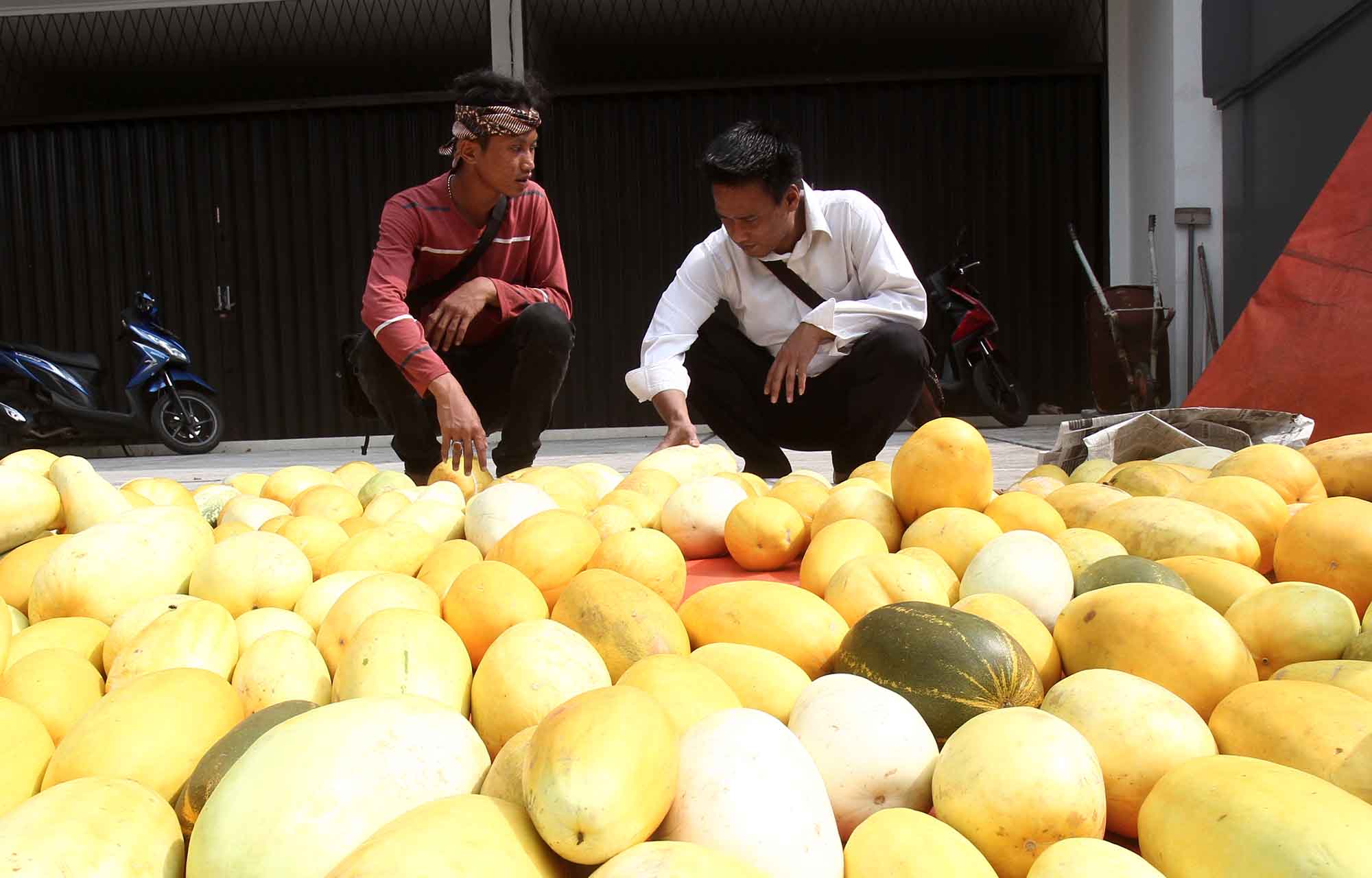 Pedagang merapihkan buah timun suri dagangannya di Tebet, Jakarta, Sabtu (1/3/2025).  (Beritanasional.com/Oke Atmaja)