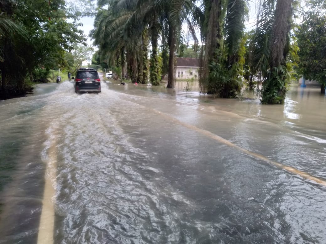 Banjir di Tulang Bawang Lampung ganggu akses jalan raya (BeritaNasiol/BNPB)