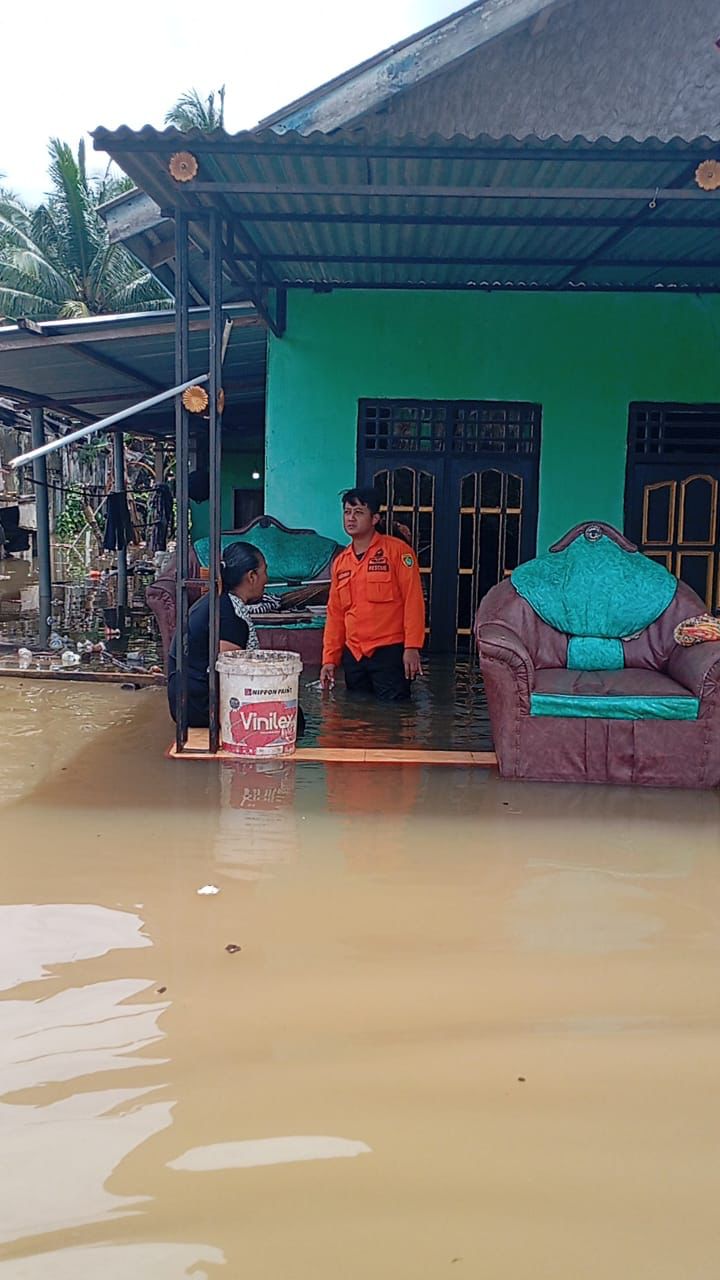 Banjir di Kalimantan Selatan. (BeritaNasional/BNPB)