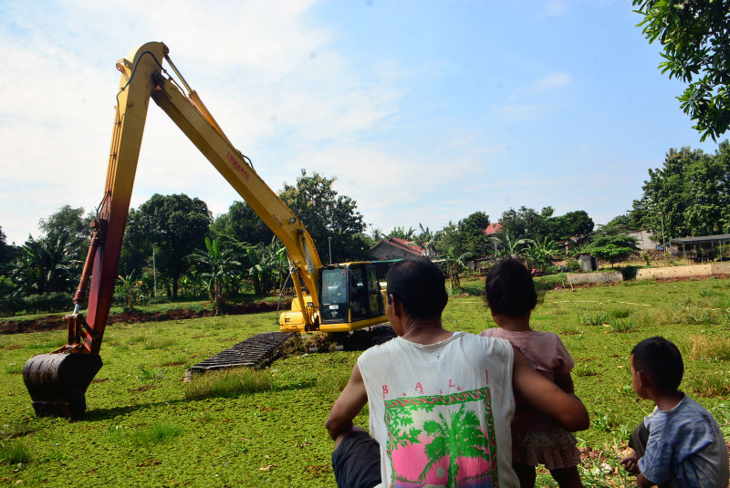 Tumbuhan air gulma eceng gondok yang dianggap menggangu. (BeritaNasional/Elvis Sendouw)