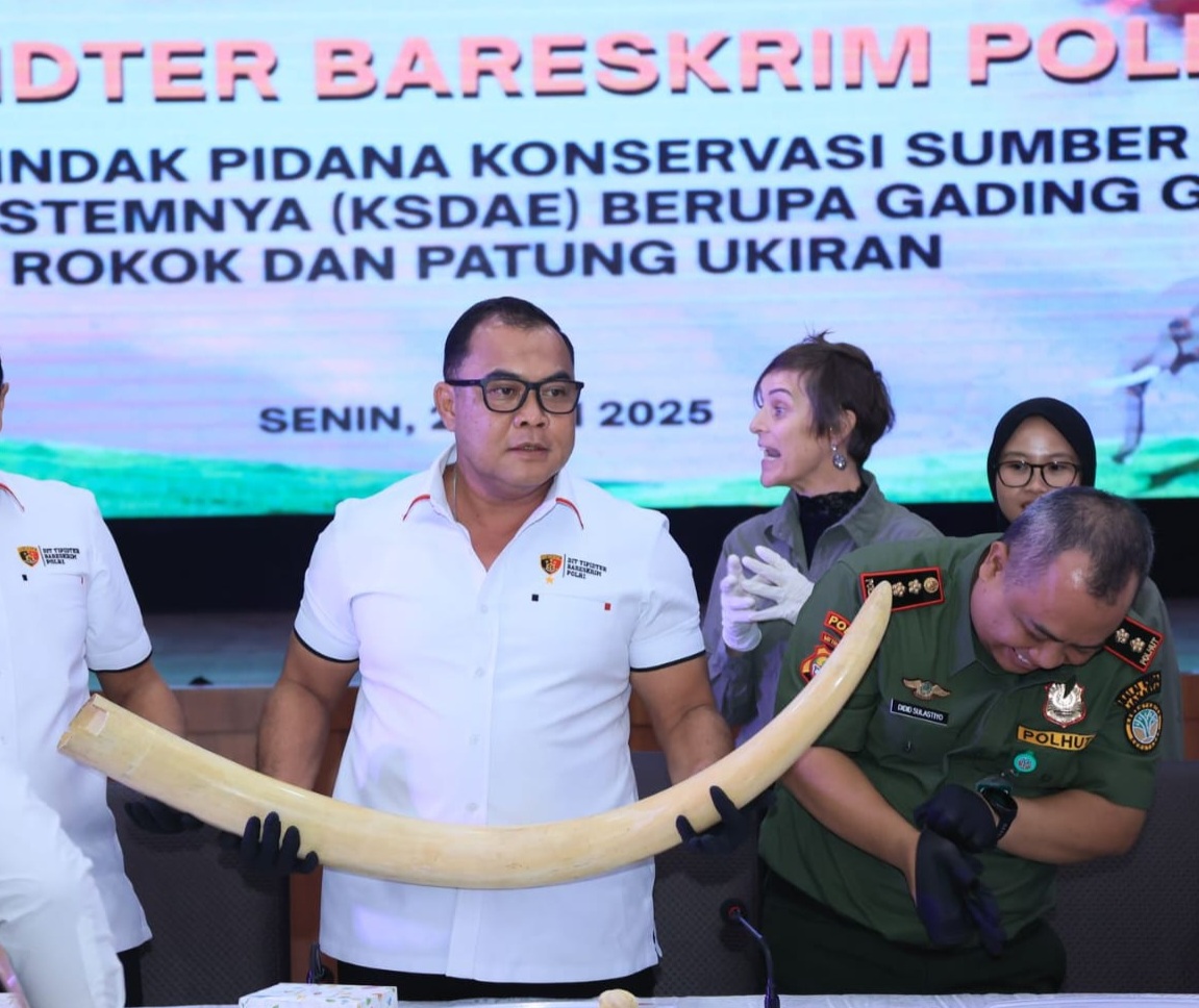Dirtipidter Bareskrim Polri Brigjen Nunung Syaifuddin. (Foto/Istimewa)