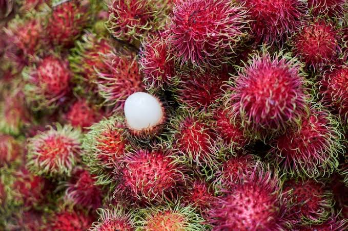 Buah rambutan (BeritaNasional/Freepik)