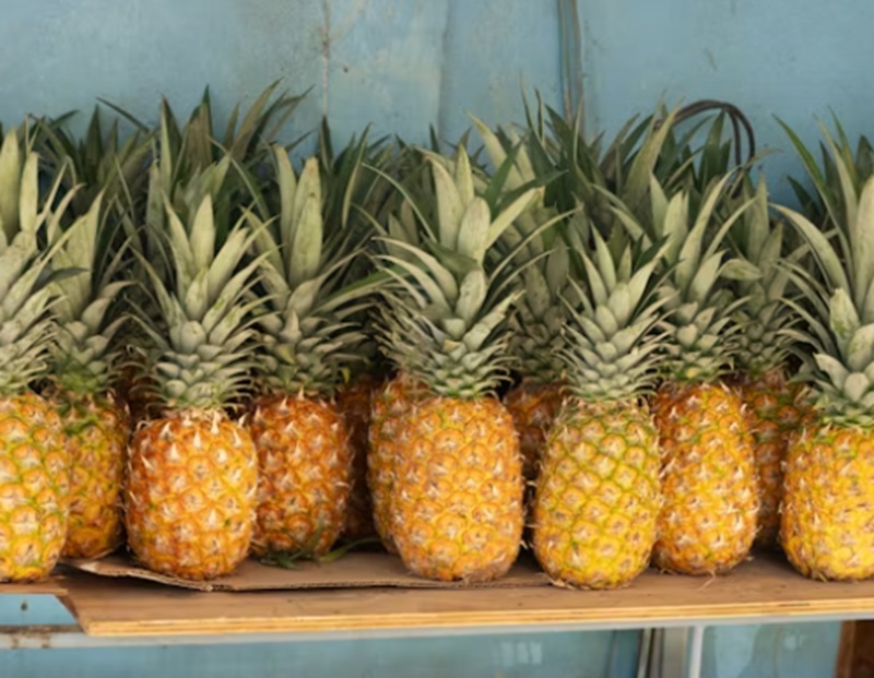 Penderita Diabetes, Ini 5 Buah yang Harus Dihindari Buah Nanas (Foto/Pixabay)