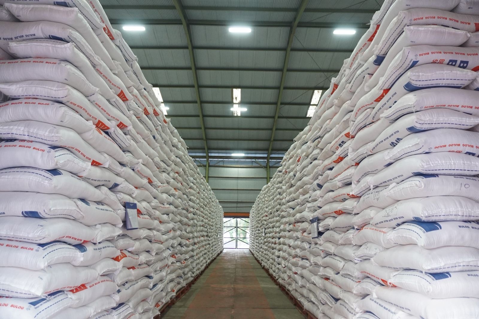 Serapan Membeludak, Begini Cara BULOG Jaga Kualitas Beras di Gudang Serapan Membludak, Begini Cara BULOG Jaga Kualitas Beras di Gudang. (Foto/Bulog).